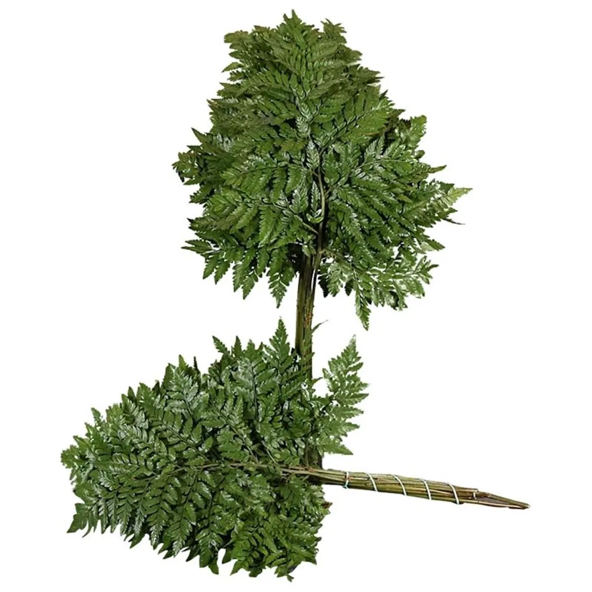 Ledervaren Medium • 45 cm