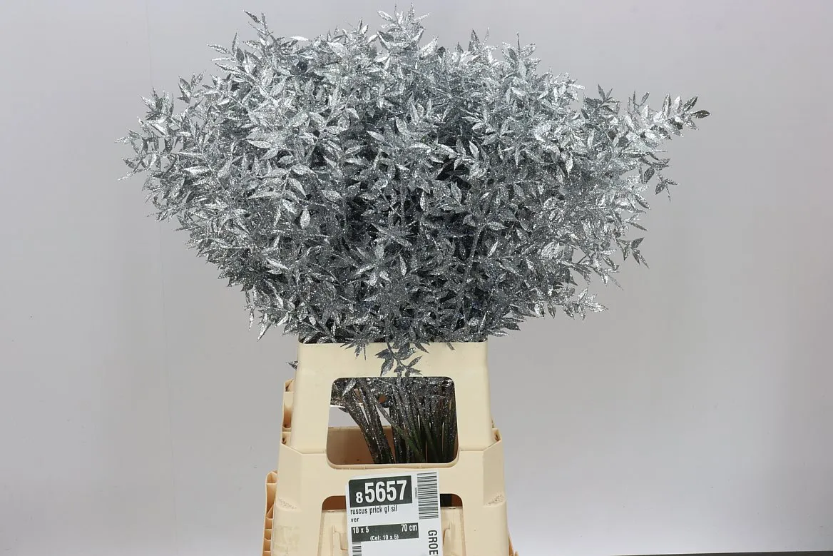 Ruskus Prick Gl Silver • 70 cm