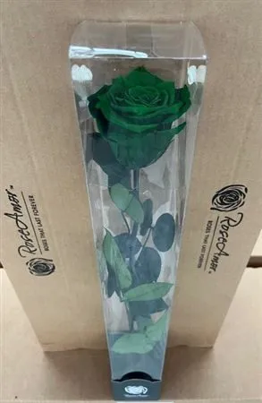 Stabilizovaná ruža na stonke 50 cm, zelená GRE02