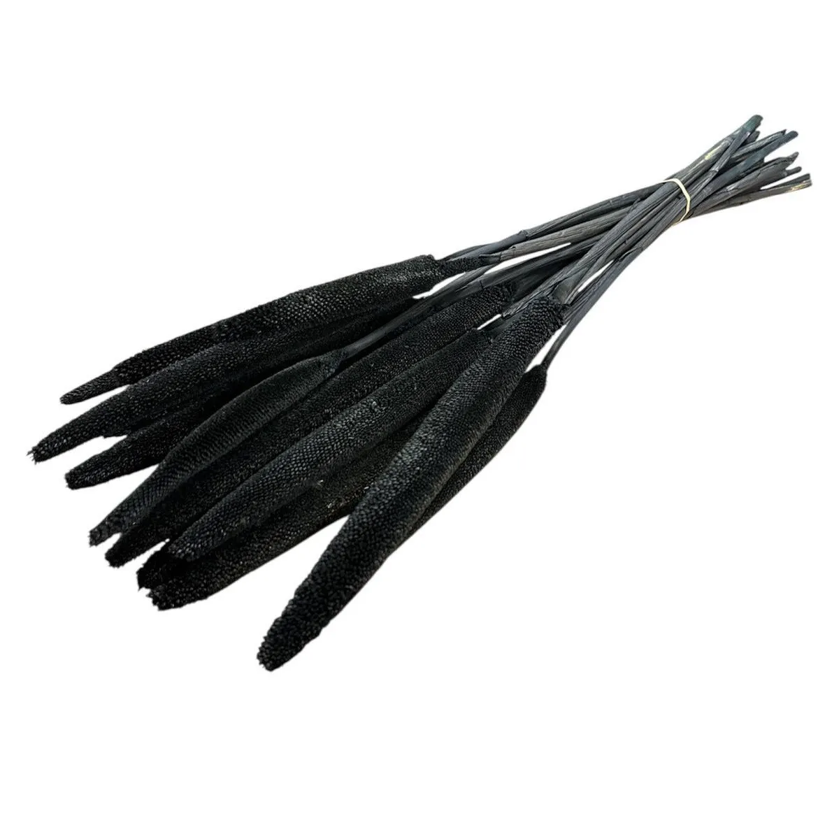 Sušená babala čierna 70 cm