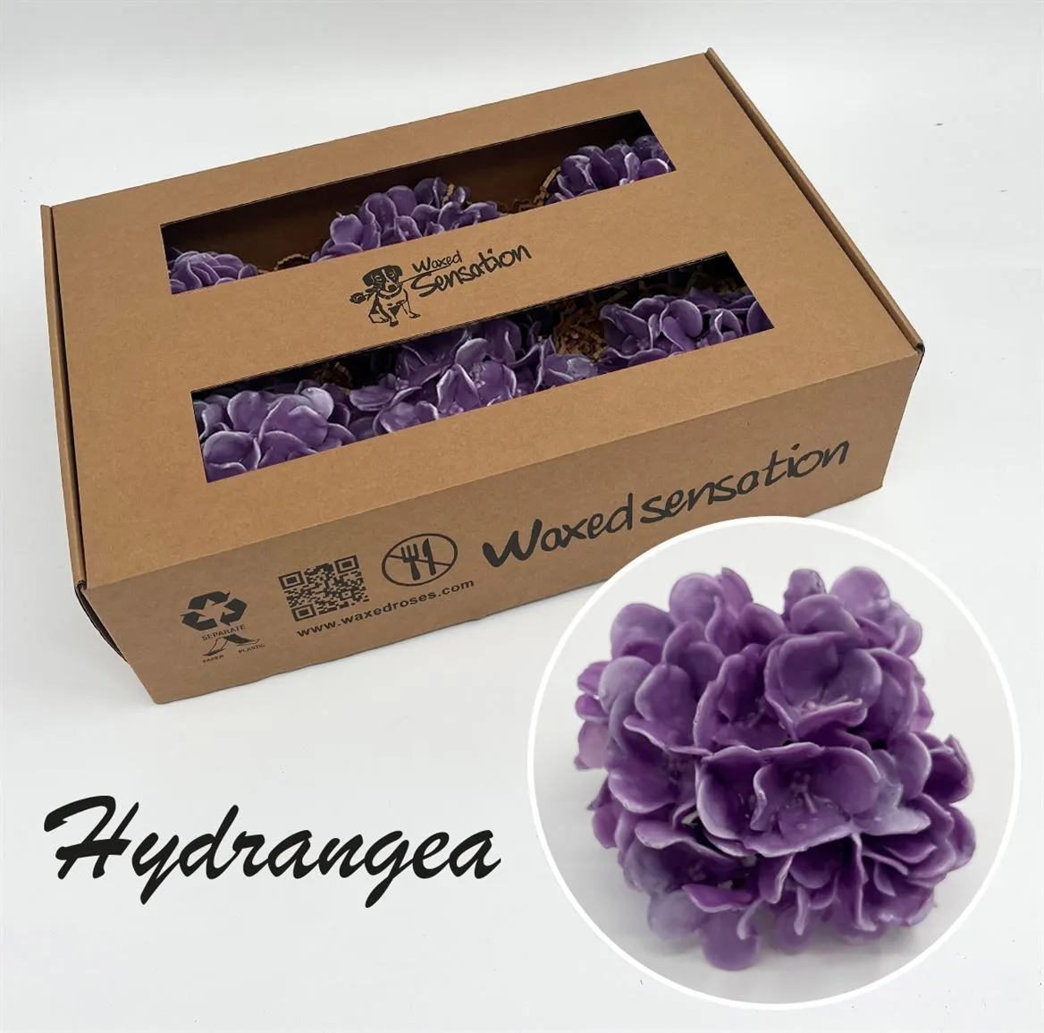 Zijde Hydr Wx Paars