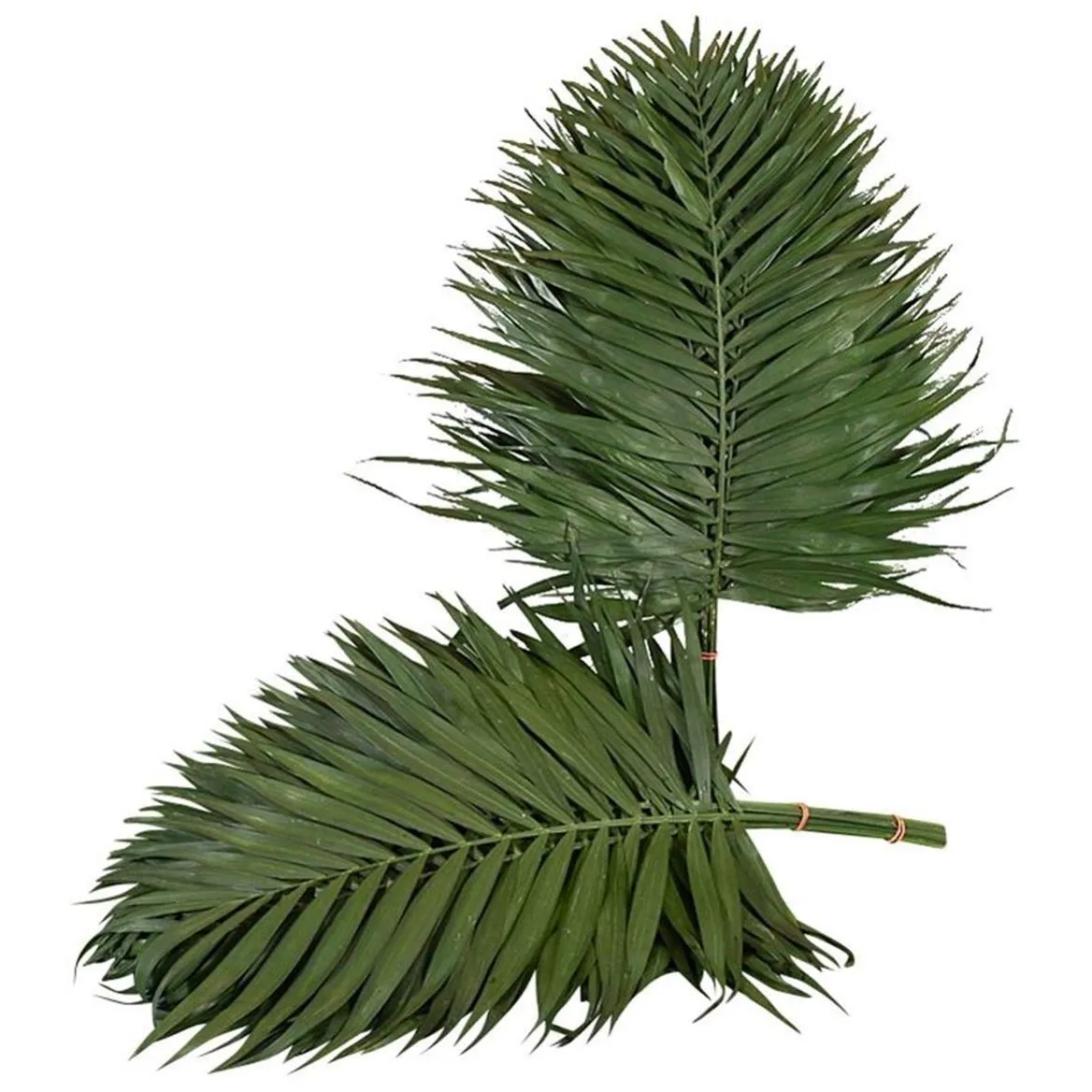 Chico Teepee X3 • 65 cm