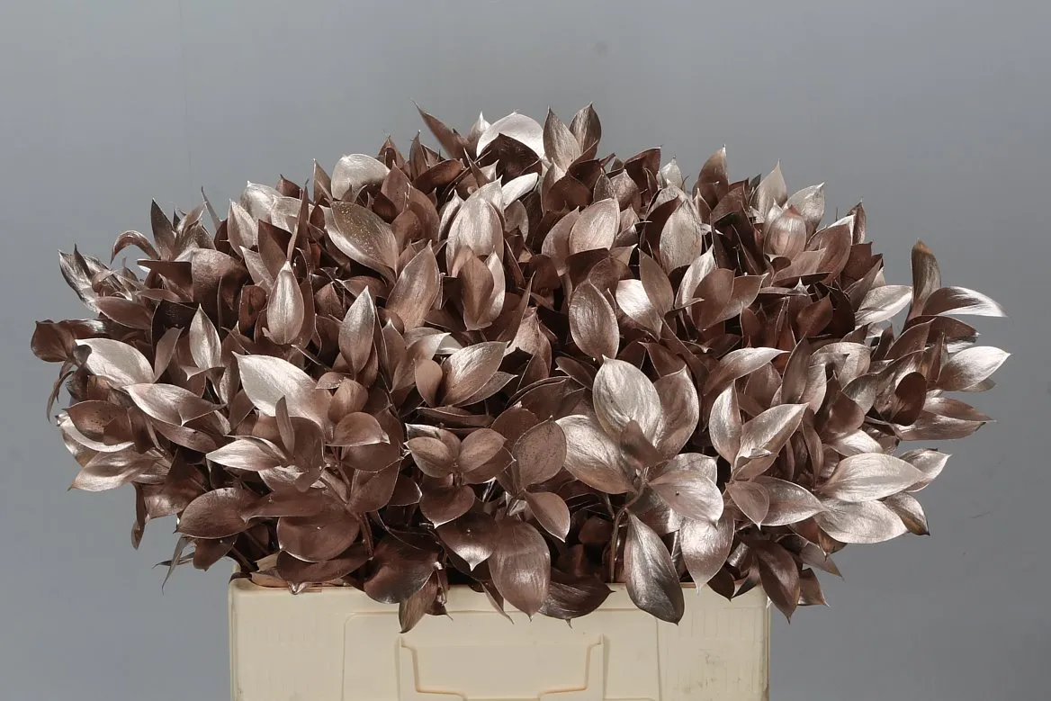 Ruskus farbený Champagne • 60 cm