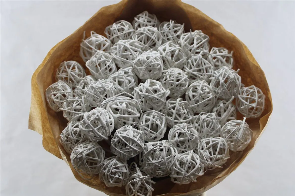 Grasbal White, sušené • 50 cm