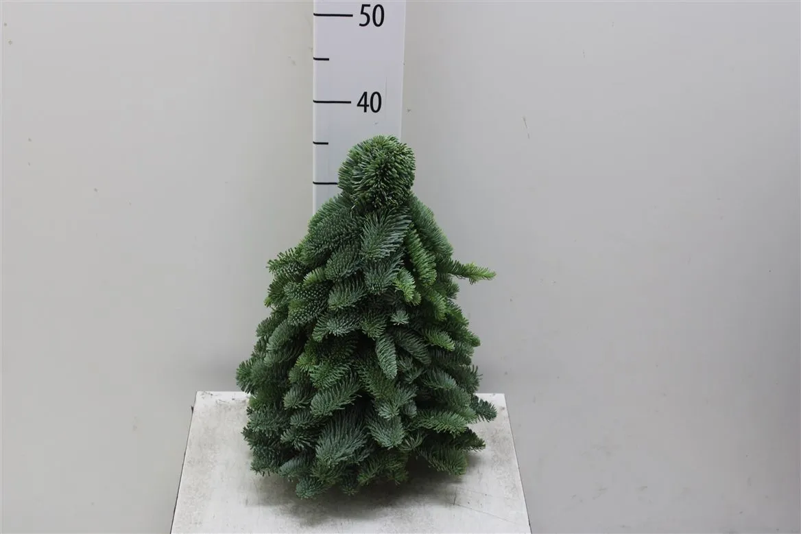 Vianočný stromček z čečiny, ručne viazaný • 40 cm
