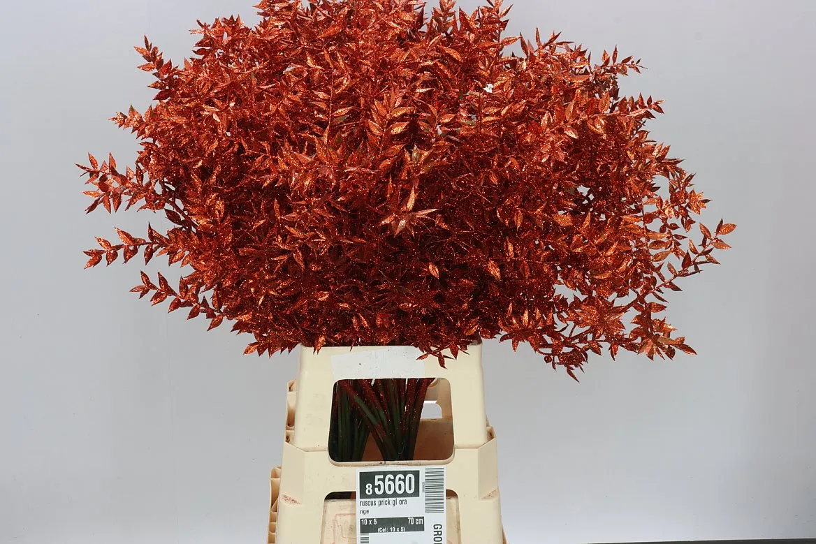 Ruskus Prick Gl Orange • 70 cm