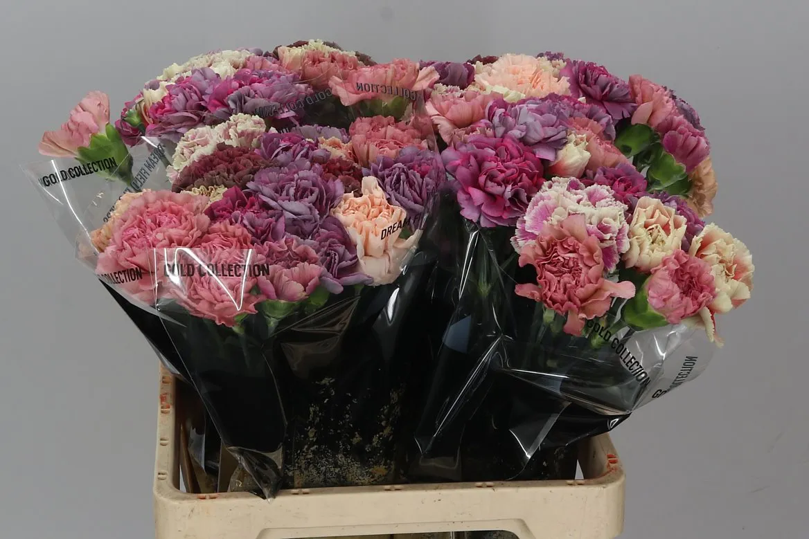 Di St Mix Vintage • 60 cm