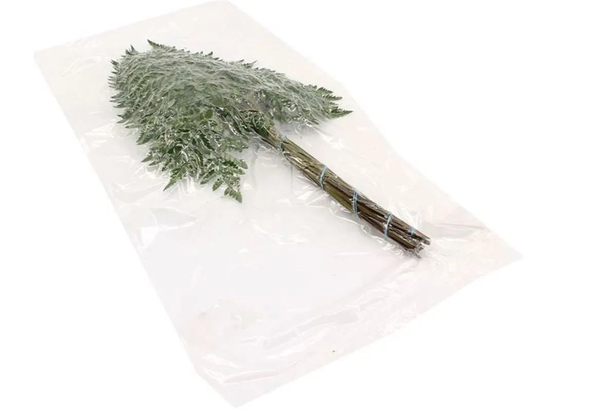 Leder Extra X 12 Vacuum • 55 cm