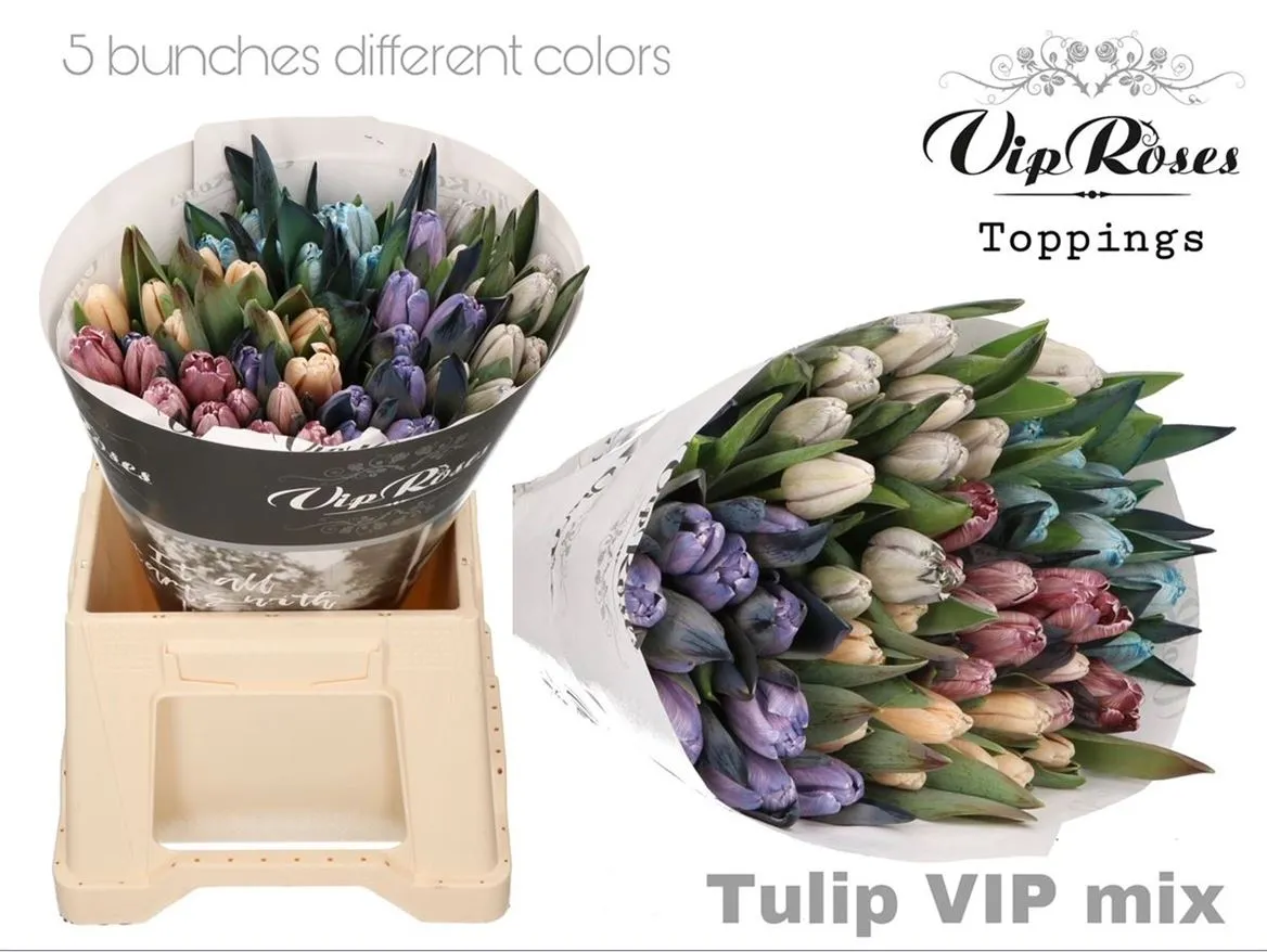 Tulipa Vip En Mix
