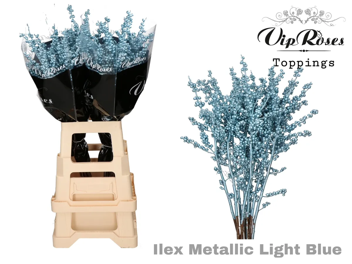 Ilex Metallic Light Blue 80 Cm • 80 cm