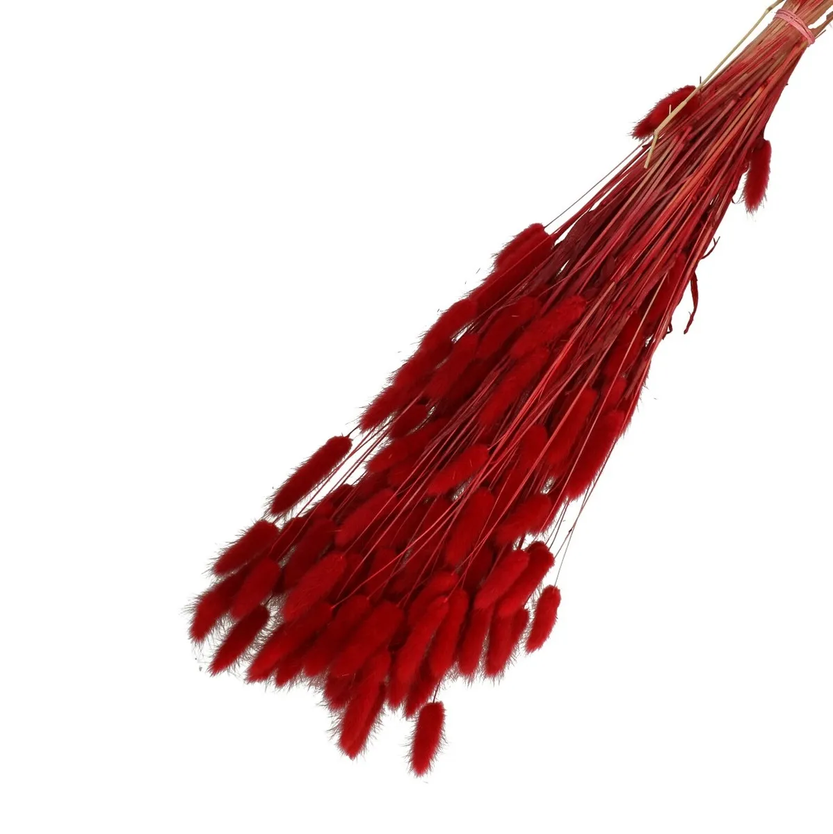 Sušený zajačí chvost červený 65 cm, 100 g