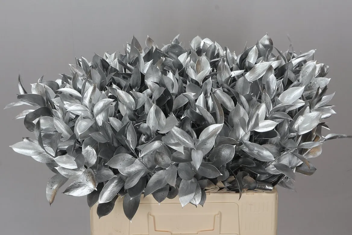 Ruskus farbený Silver • 60 cm