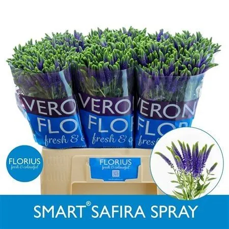 Veronica Smart Safira X20 • 60 cm