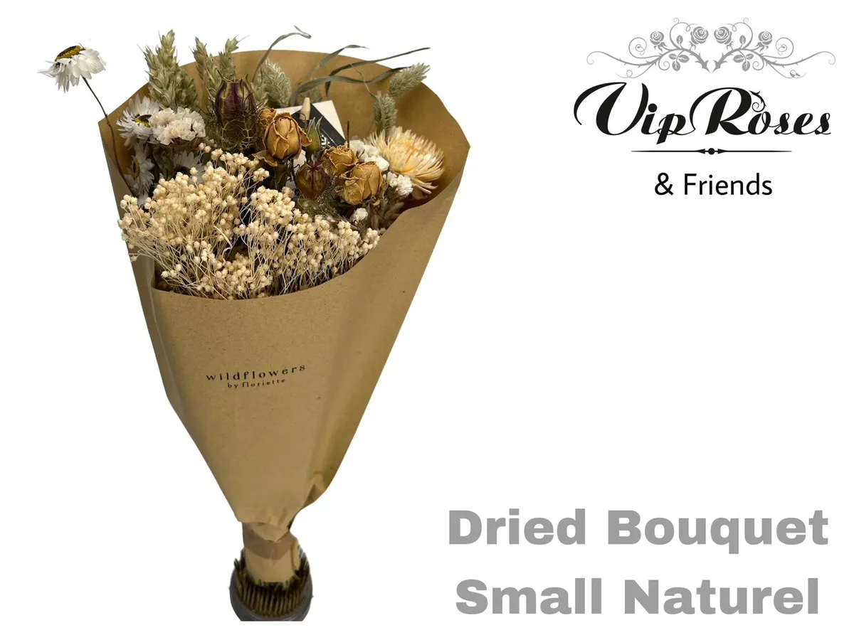 Bouquet Small Naturel X12, sušené • 35 cm