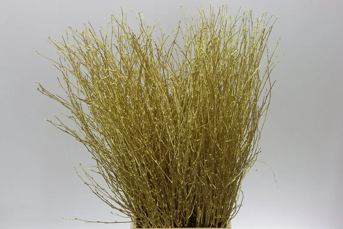 Breza Gold Glitter • 70 cm