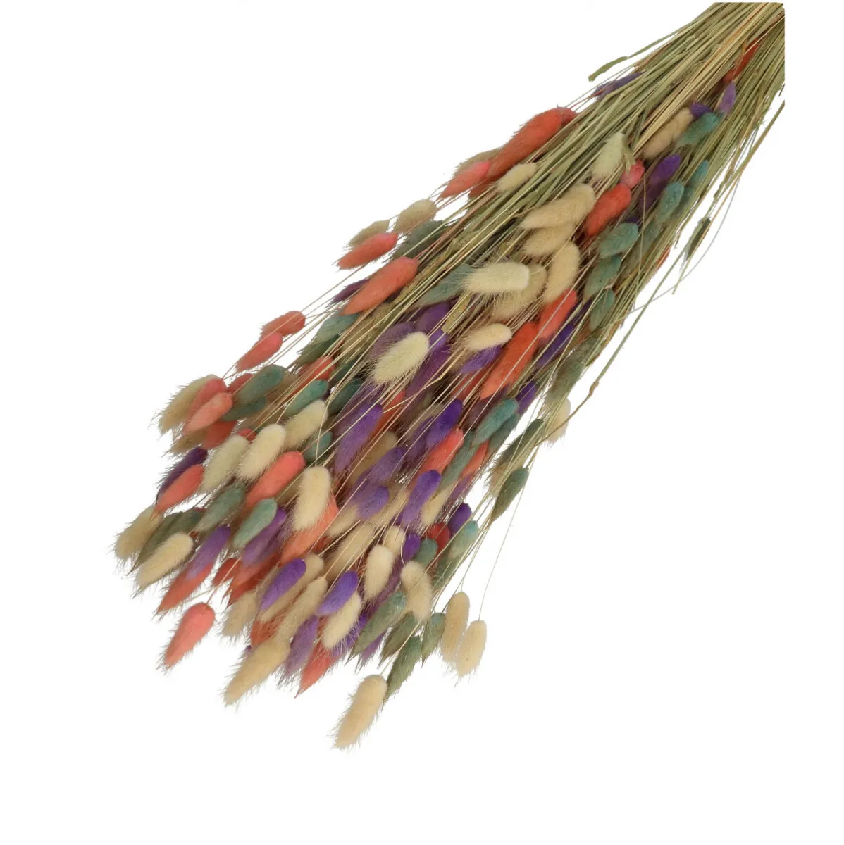 Sušený zajačí chvost oranžový, mix 65 cm, 100 g