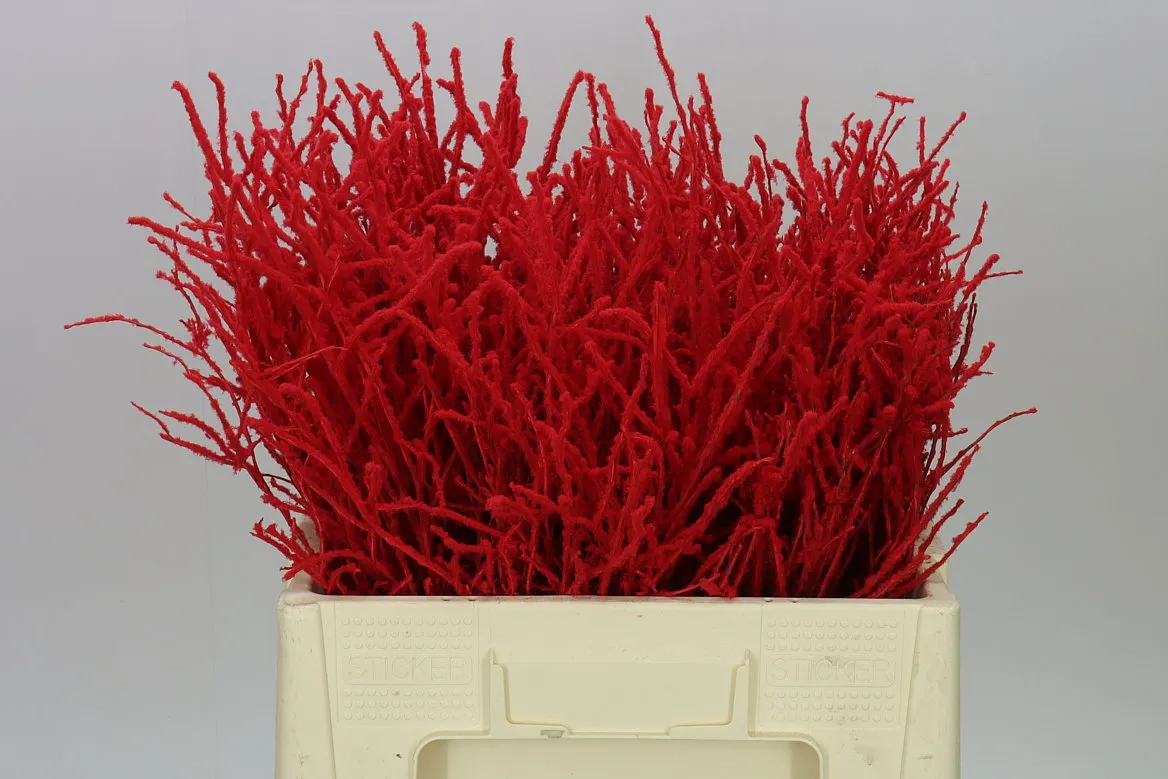 Vac Huck Flocked Red
