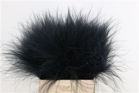 Stypha Black • 60 cm