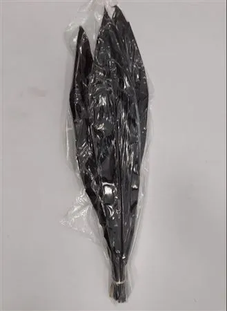 Black Tie Vacuum X 1 • 80 cm