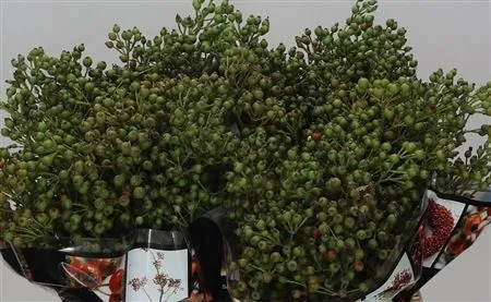Rozenbottel Autumn Rosefruits Green • 100 cm