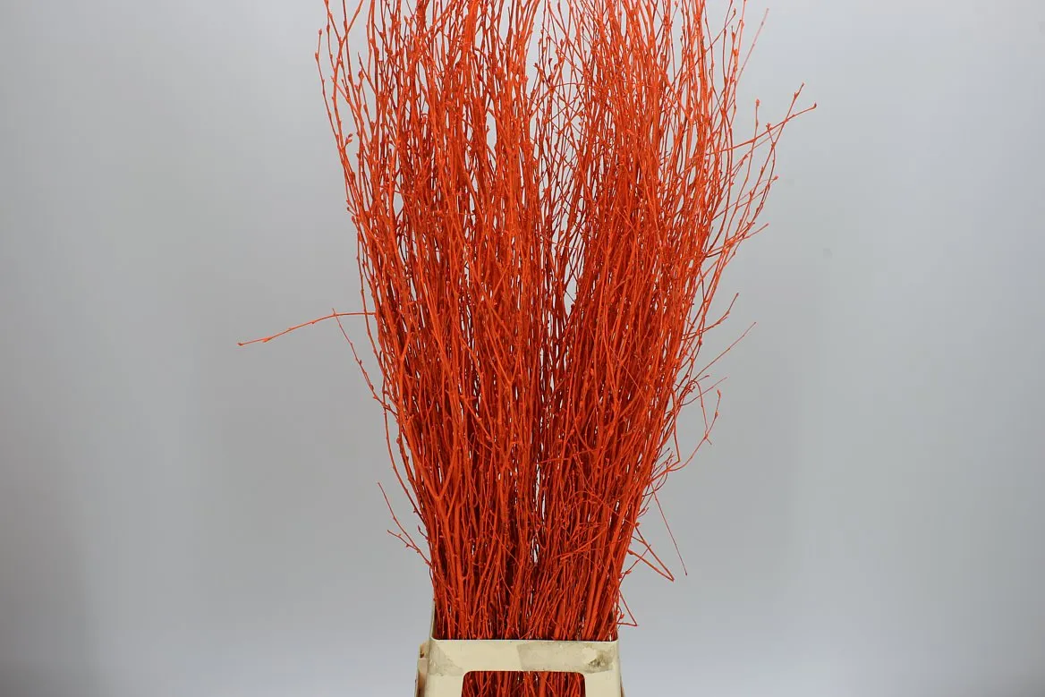 Berk Orange • 120 cm