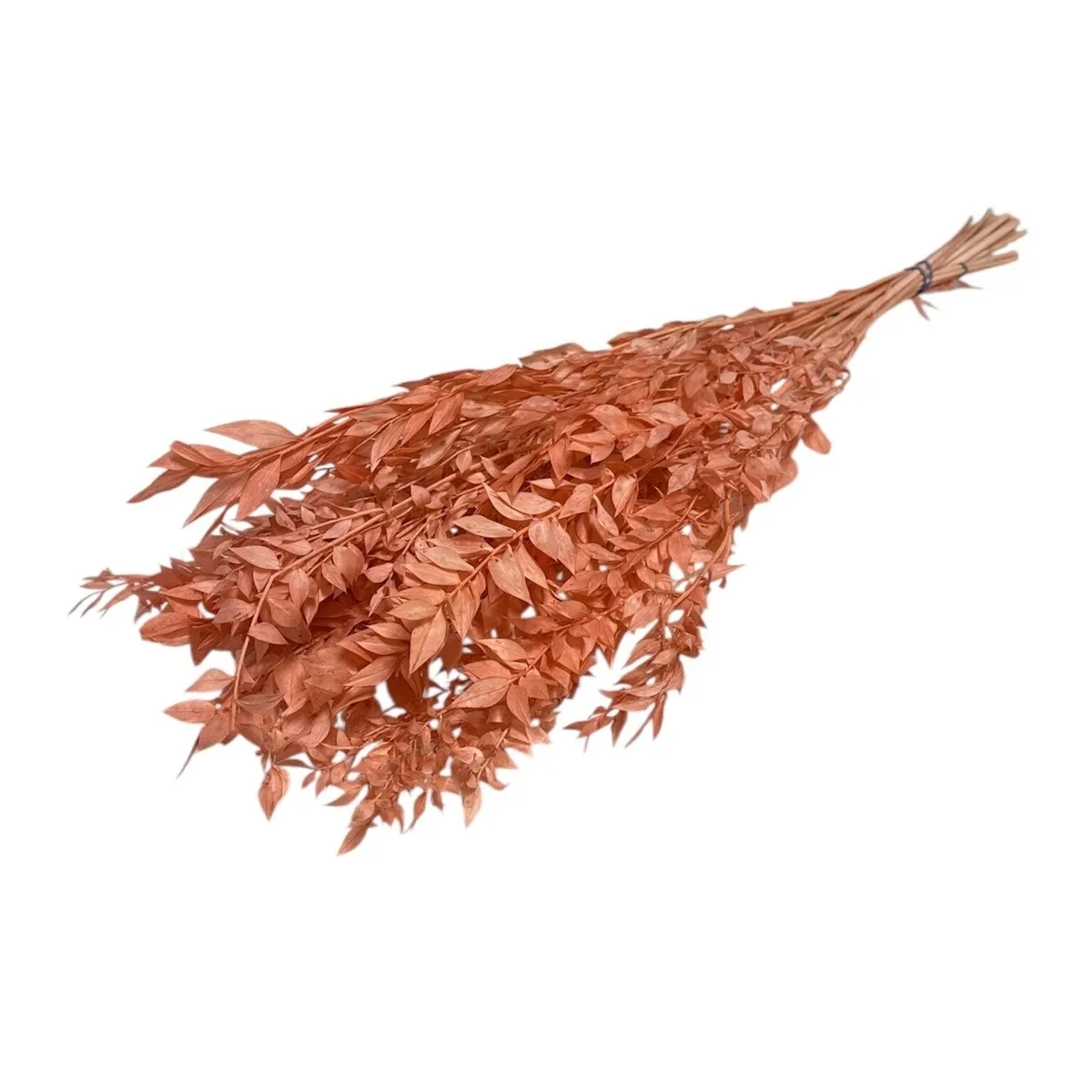 Sušený ruscus lososový 65 cm, 110 g