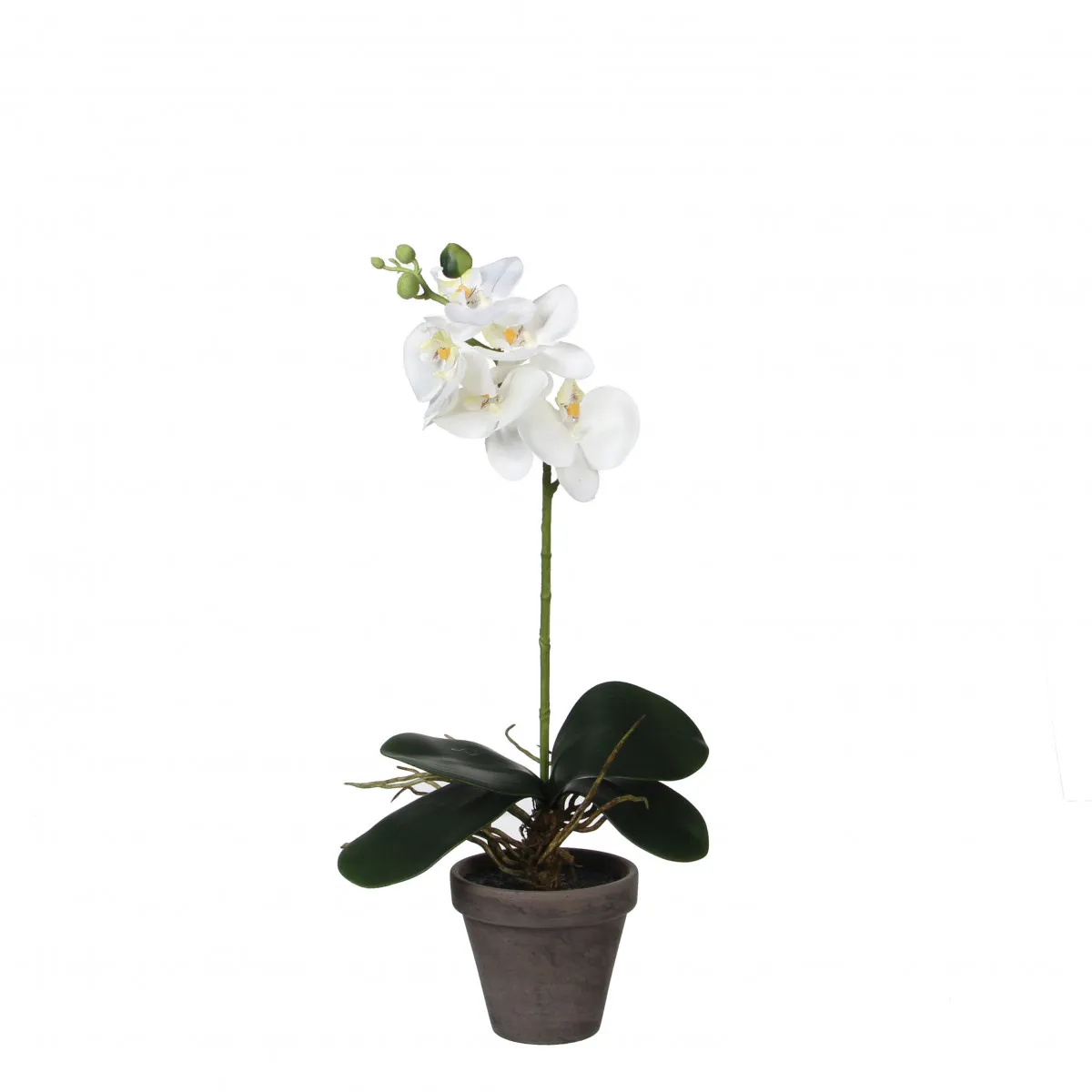 Umelá orchidea Phalaenopsis v kvetináči biela ⌀ 11 až 13 × 48 cm