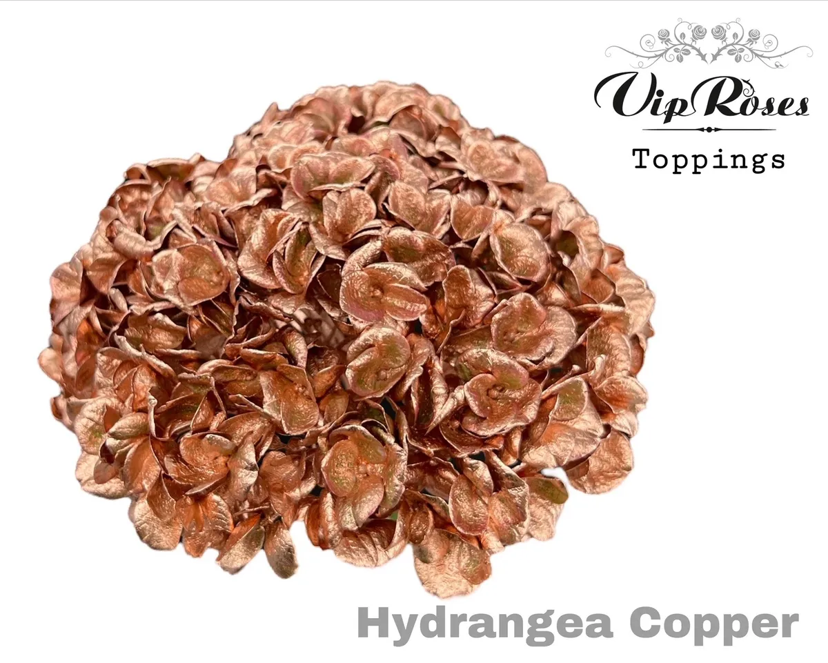 Hortenzia Copper L80cm • 80 cm