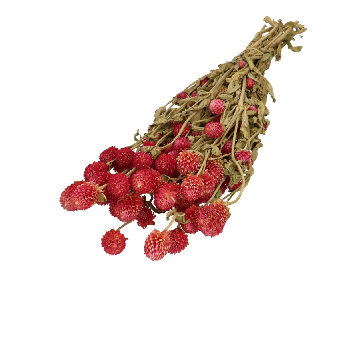 Sušená gomfréna ružová 65 cm, 125 g