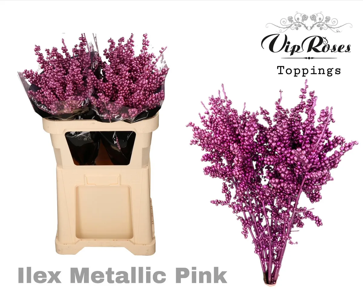 Ilex Metallic Pink 70cm • 70 cm