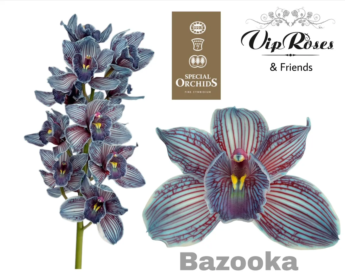 Cymb Dyed Bazooka • 80 cm