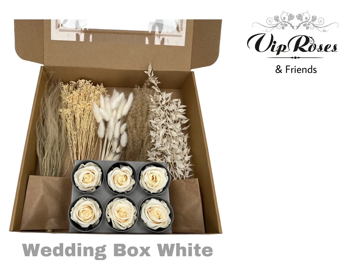 Weddingbox White, sušené • 8 cm