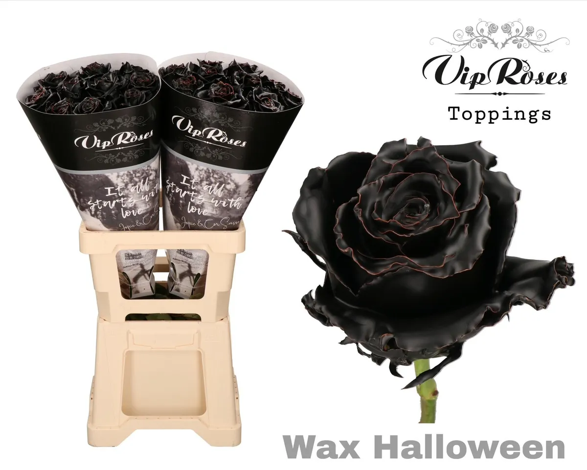 Ruža Wax Halloween X20 (60cm) • 60 cm