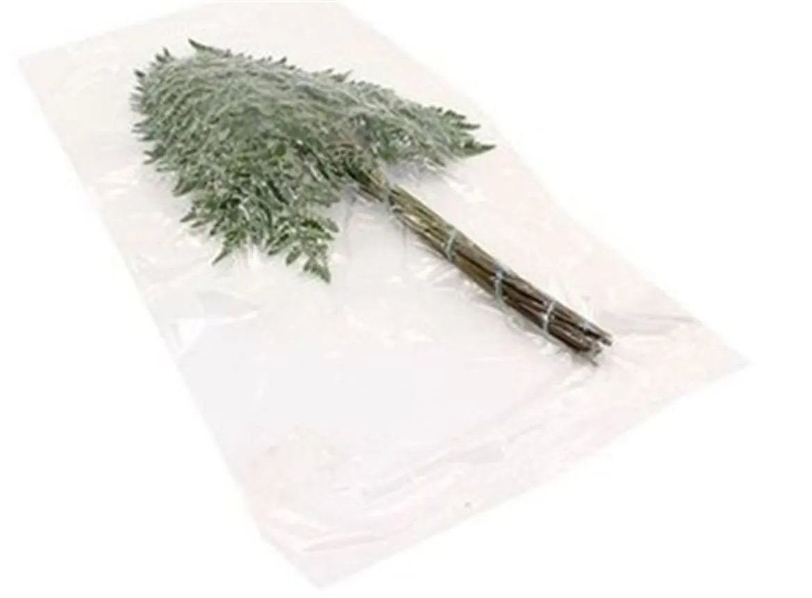 Ledervaren Ex Vac Pak X 35 • 55 cm