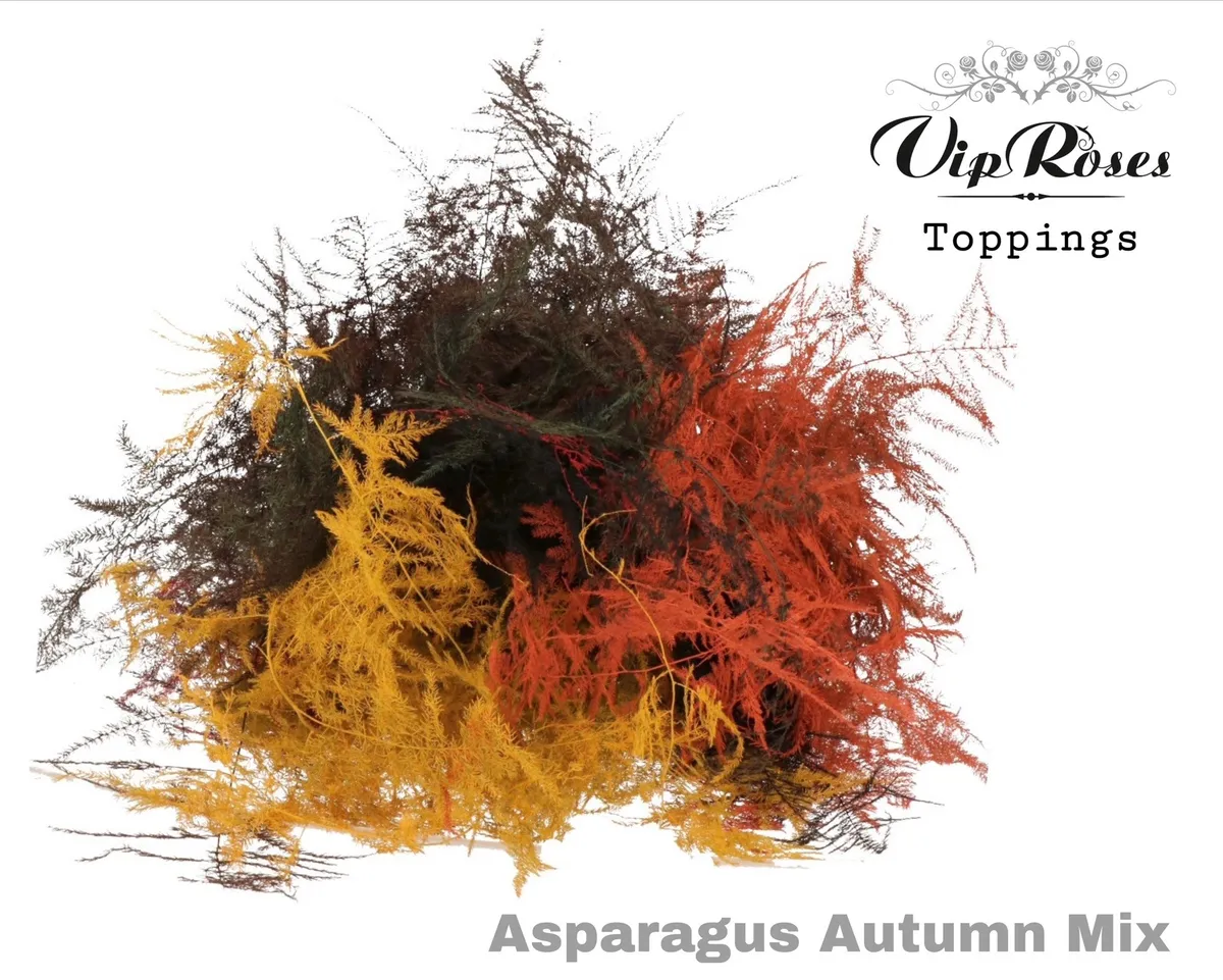 Asp Ov Extra Veren Autumn Mix • 65 cm