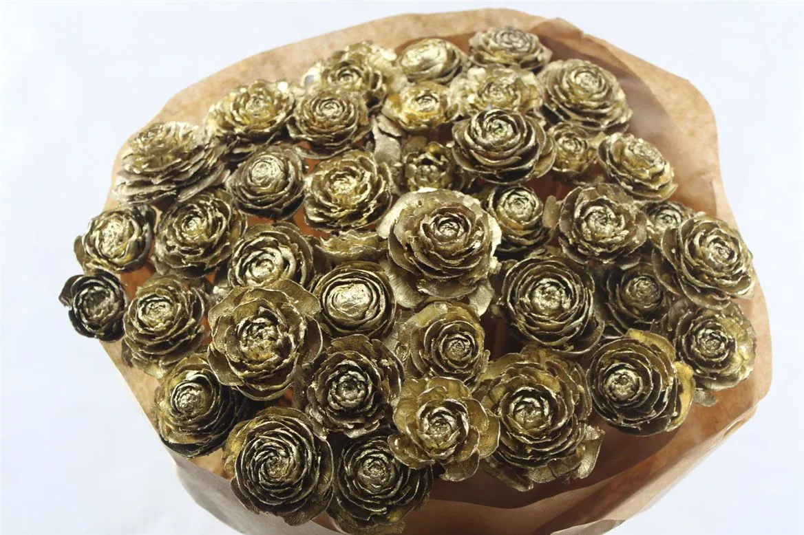 Cederroos Gold X40, sušené • 50 cm