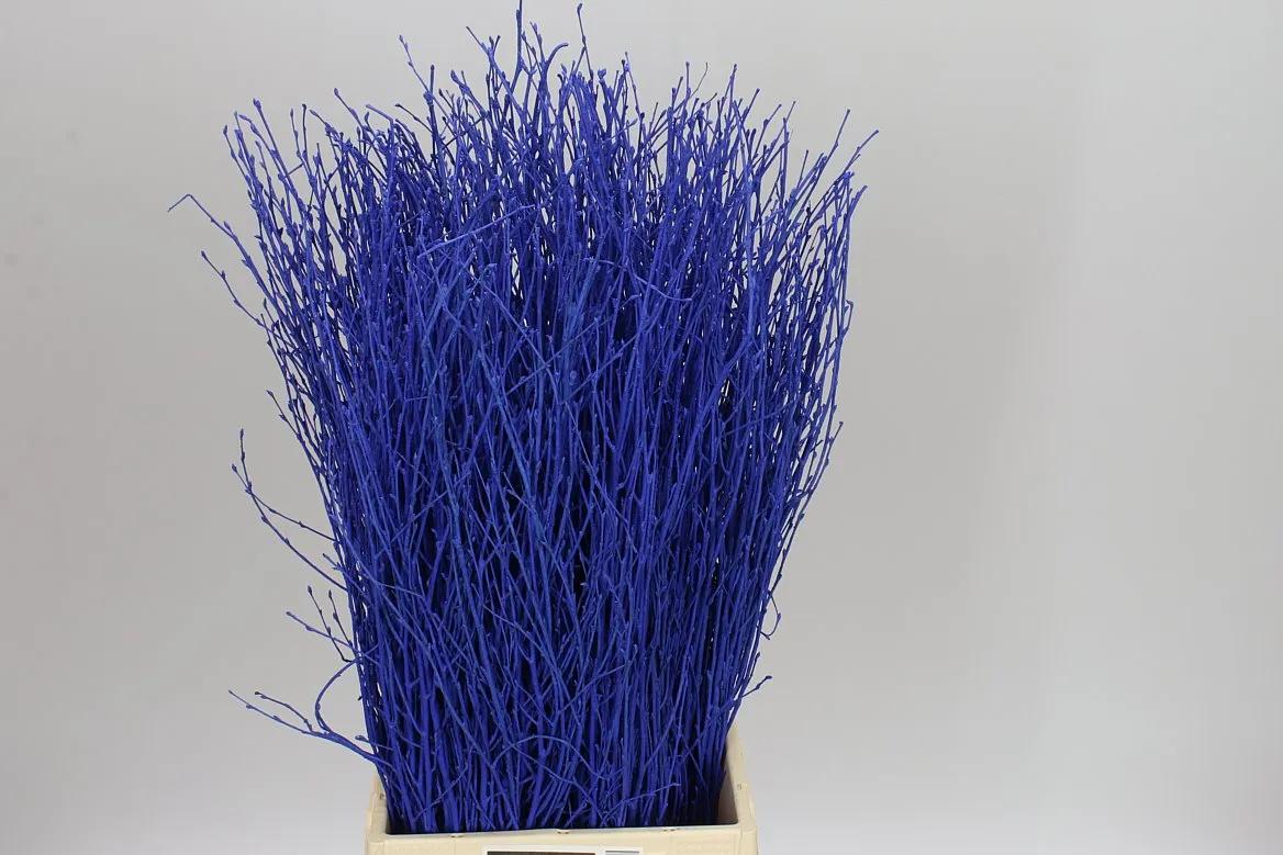 Berk Blue • 70 cm