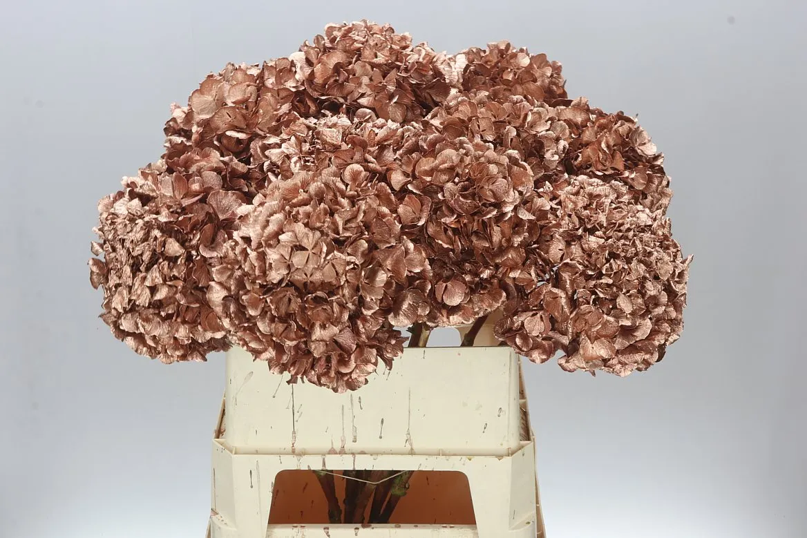 Hydr Painted Copper • 80 cm