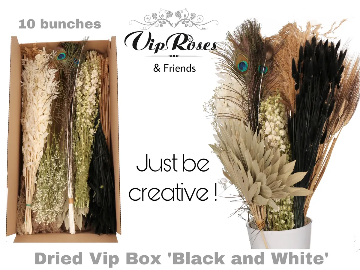 Vip Box Black & White, sušené • 60 cm