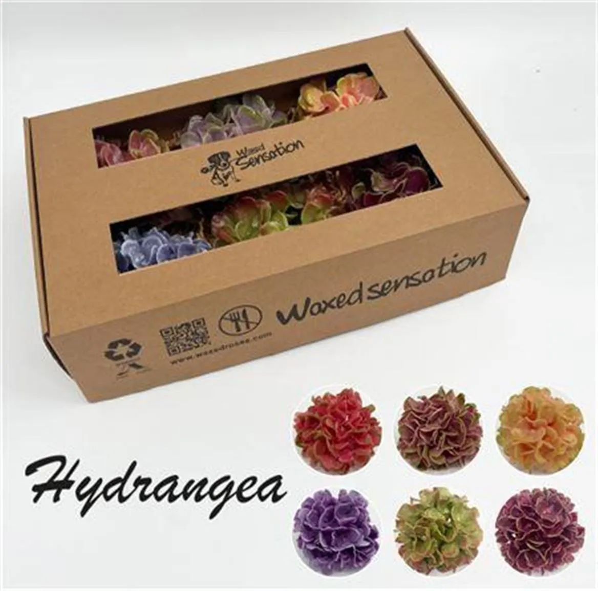 Zijde Hydr Wx Mix 6 Kleur • 20 cm