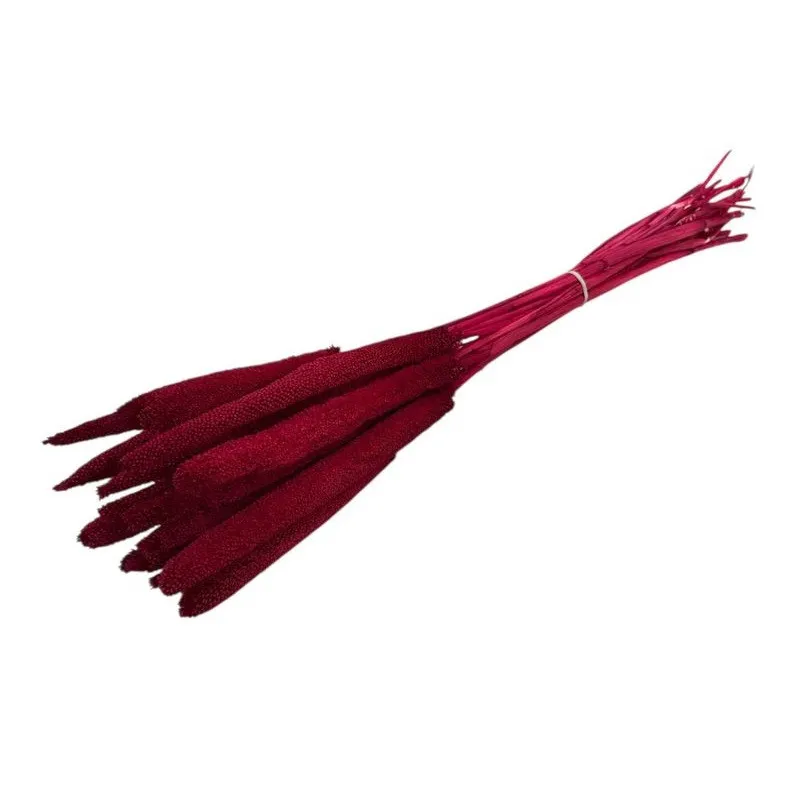Sušená babala červená 70 cm