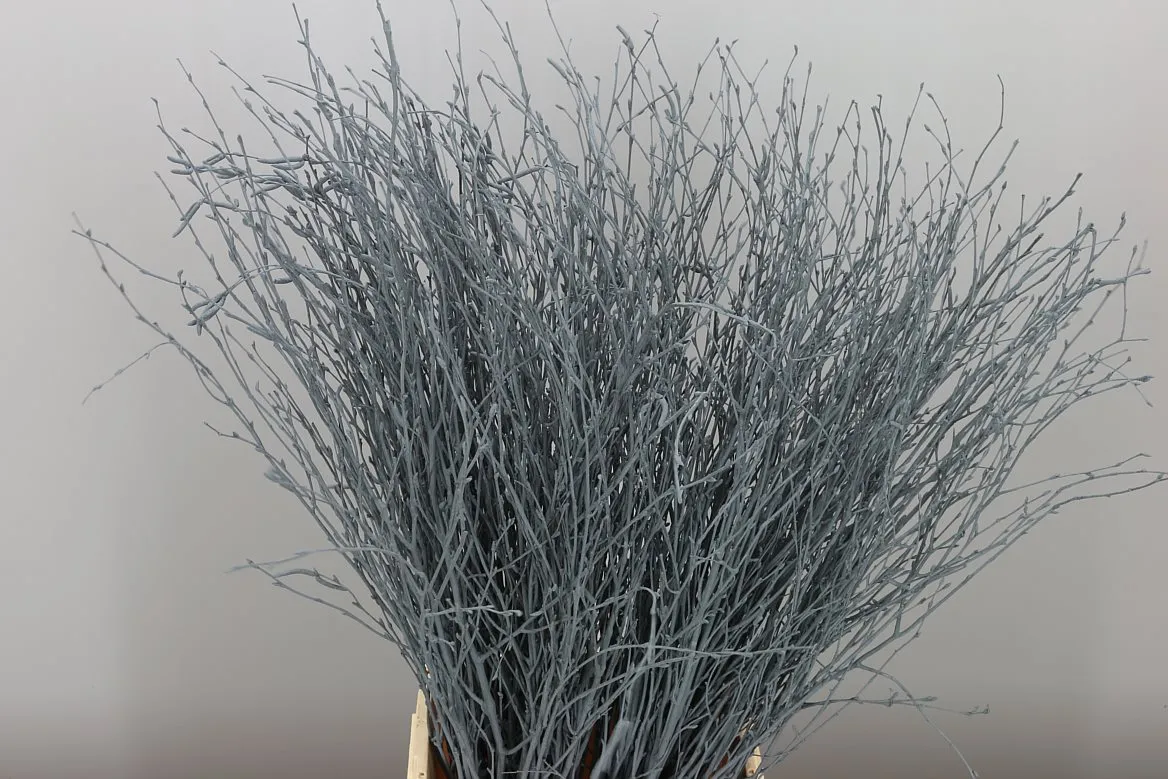 Breza Grey • 70 cm