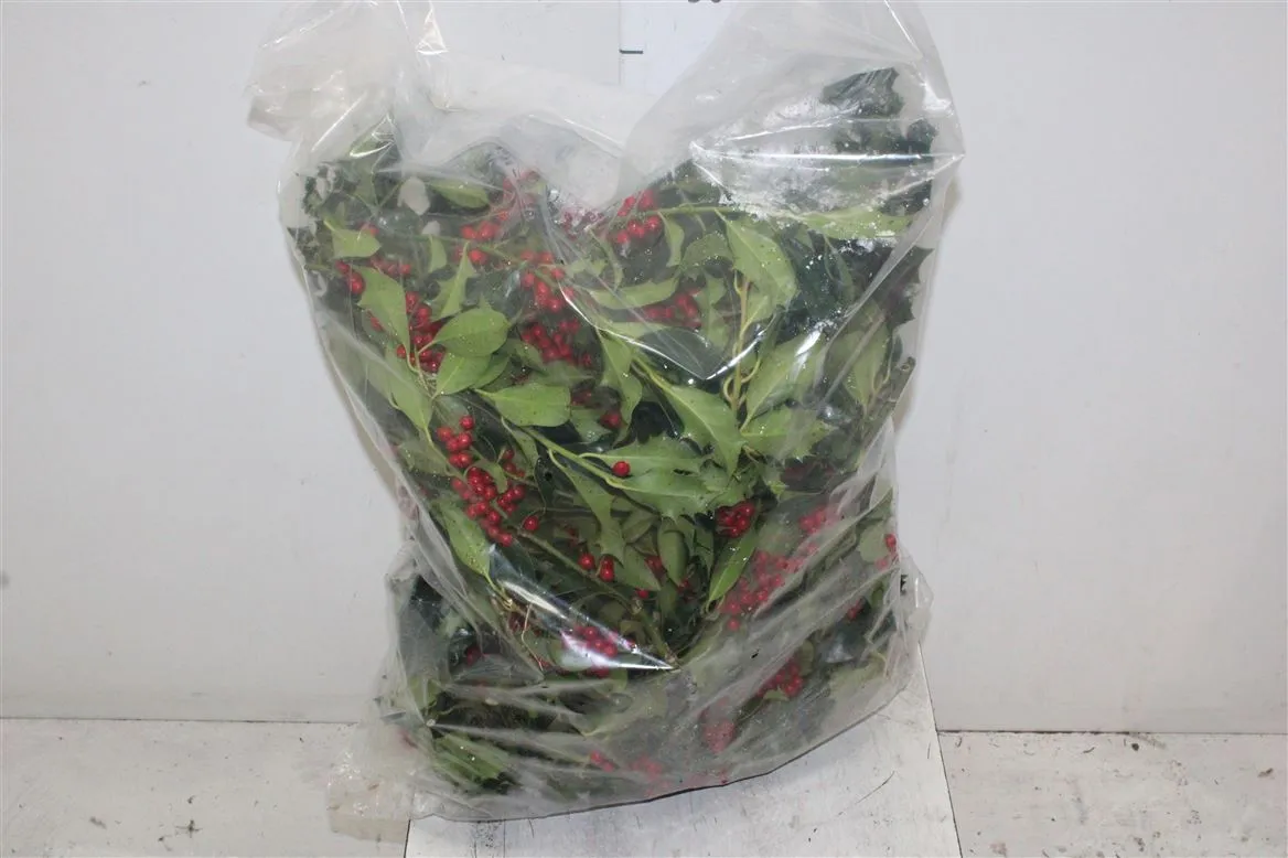 Cezmína zelená Red Berry 3 kg Baggs