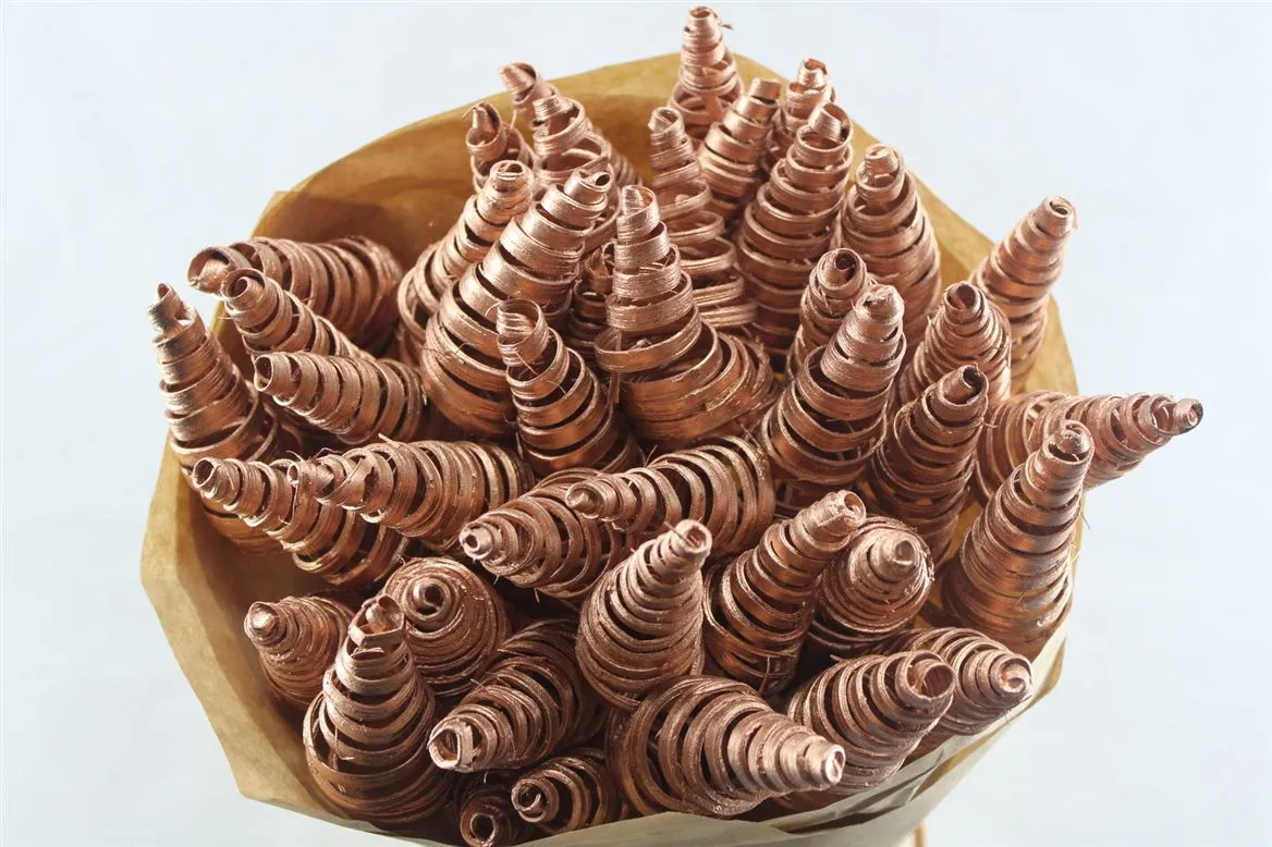 Puntspiraal Copper, sušené • 50 cm