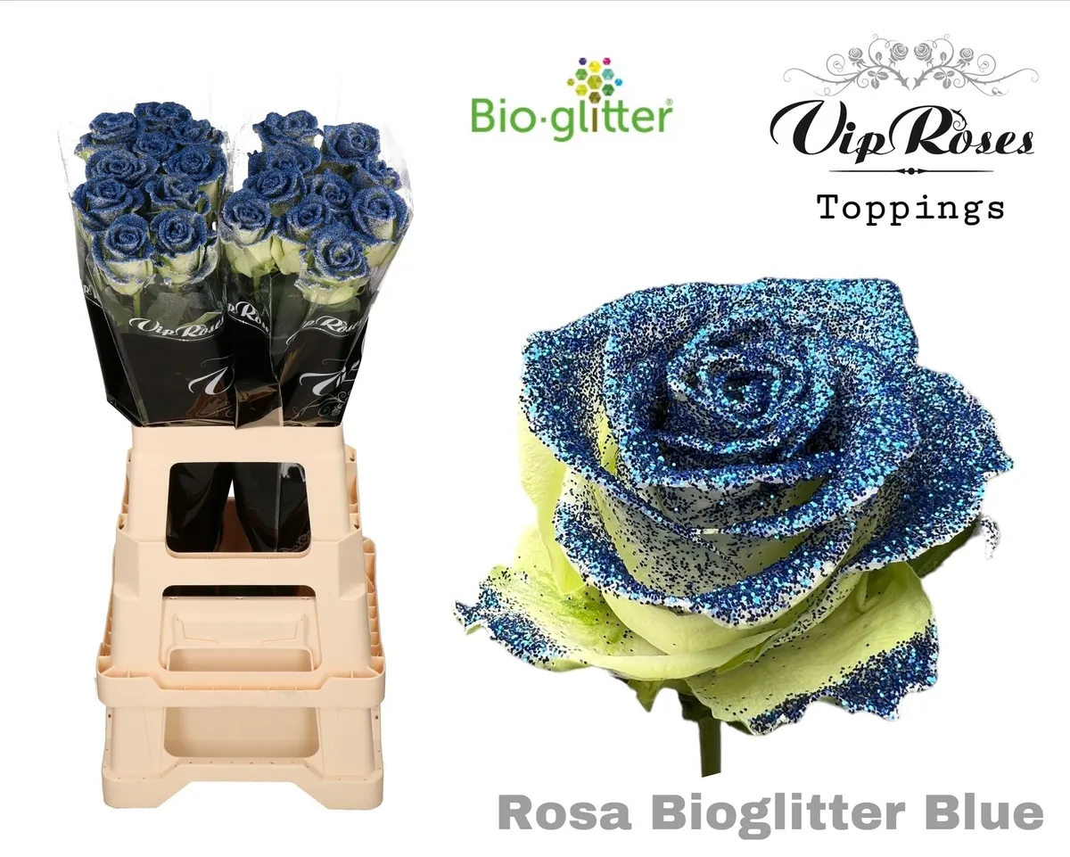 R Gr Bio Glitter Blue X20 • 70 cm