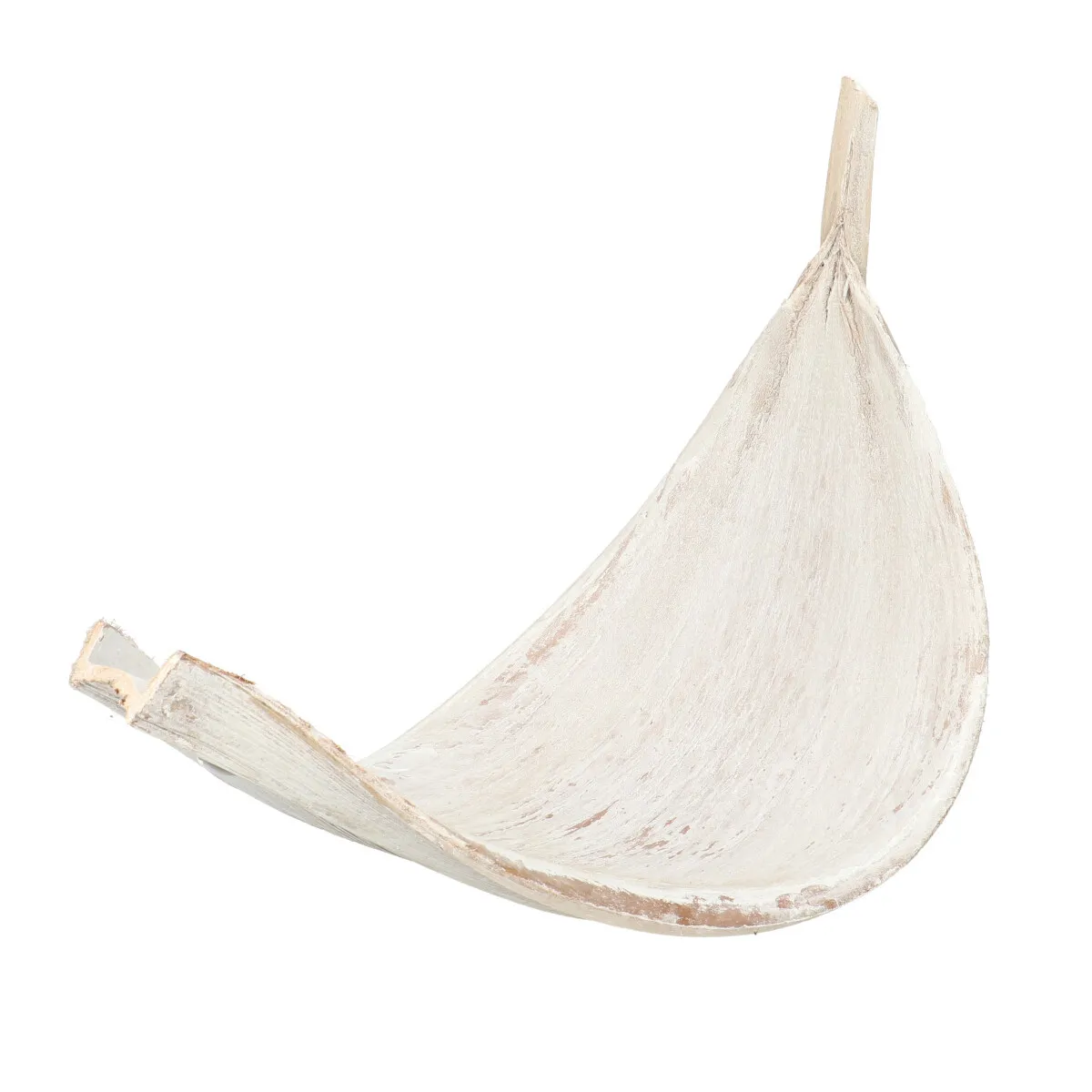Sušená galara biela, veľká 60 cm