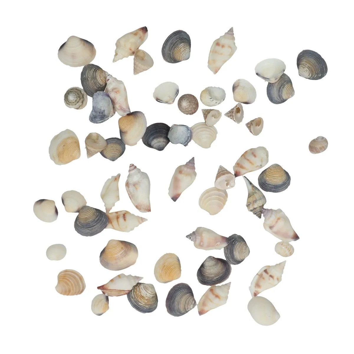 Mix mušlí mix farieb 500 g