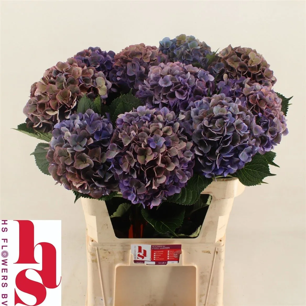 Hyd Opera Classic • 80 cm