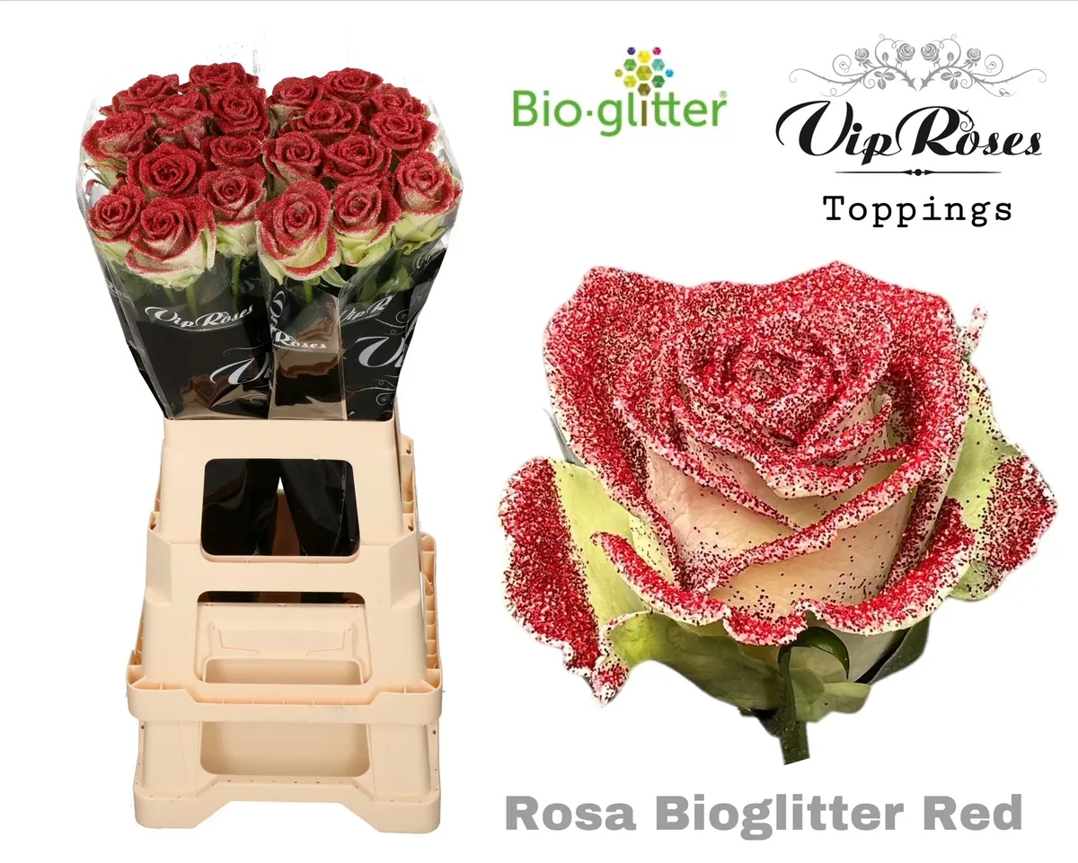 Ruža Bio Glitter Red X20 • 70 cm
