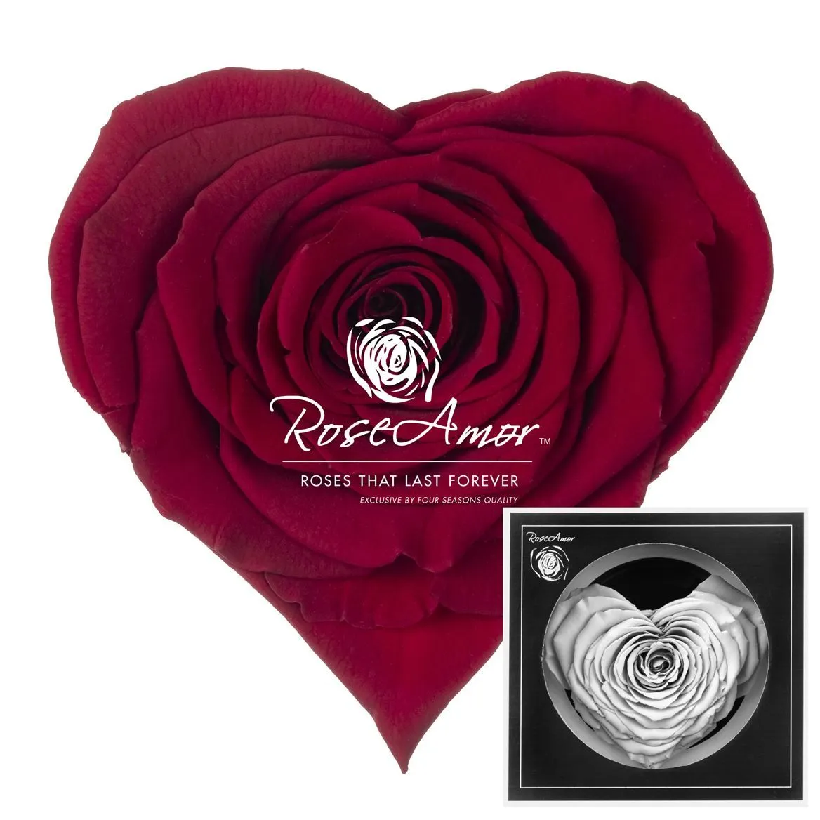 Stabilizovaná ruža v tvare srdca Corazon ⌀ 9 cm, červená RED01